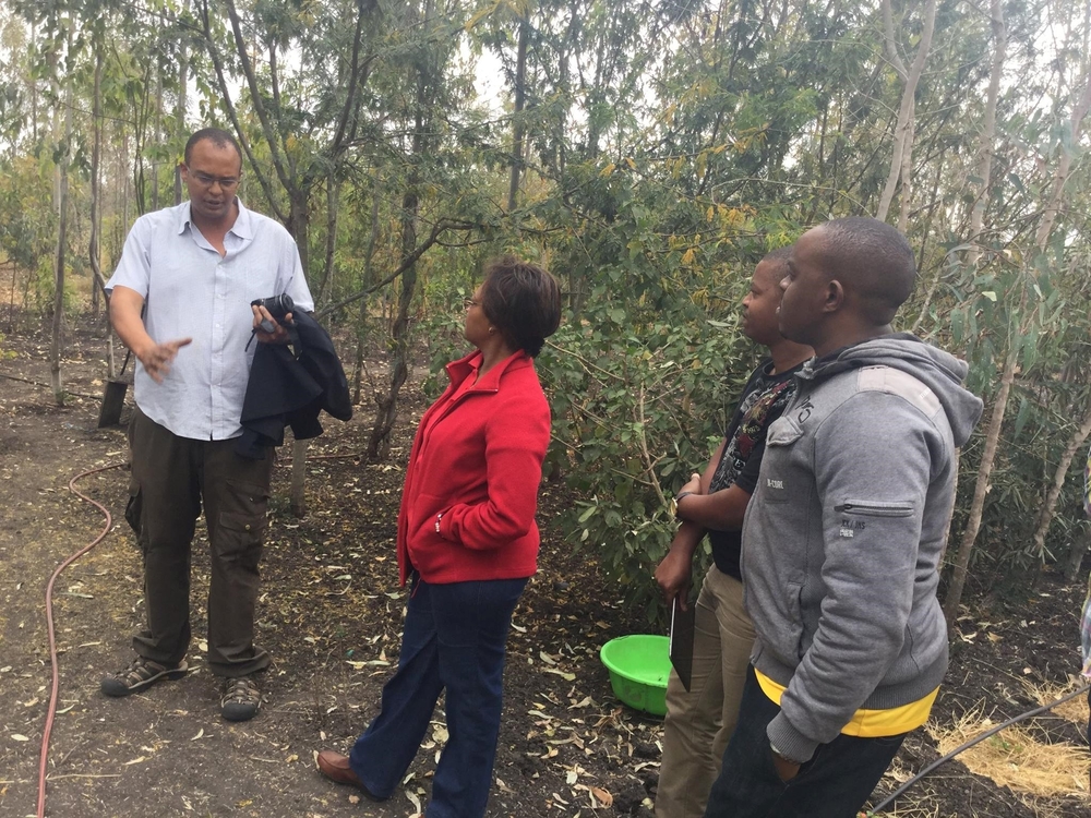 Bunson Tree Planting